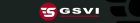 gsvi_cover