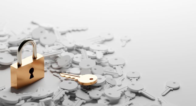 Padlock with infinite keys, metaphor of problems, solutions  and risk management; original 3d rendering